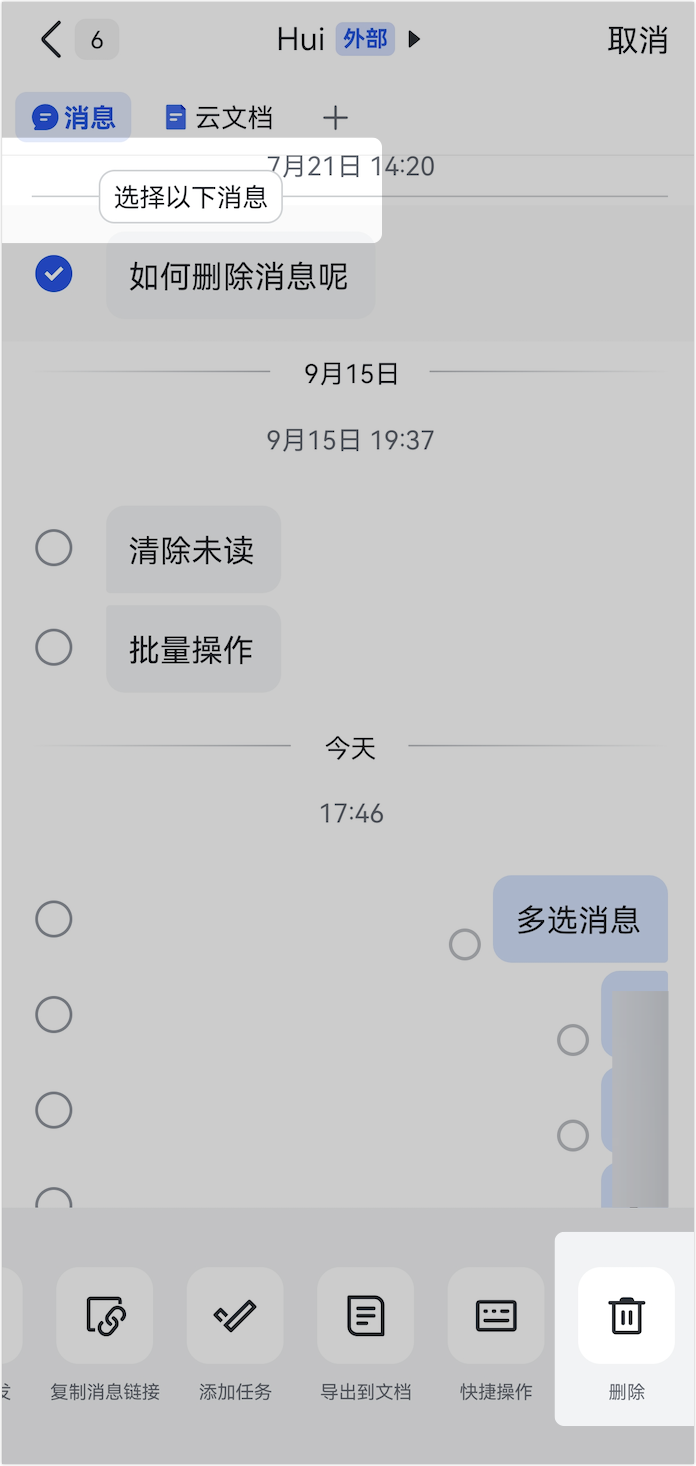 Lark 清理聊天記錄：一鍵刪除對話，釋放空間也維護隱私 - 補充操作畫面 4