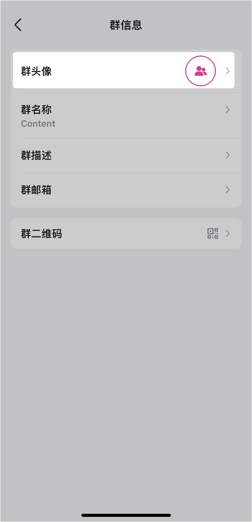 Lark 編輯群組資訊：群名稱、大頭照、群描述與群信箱完整指南 - 補充操作畫面 12