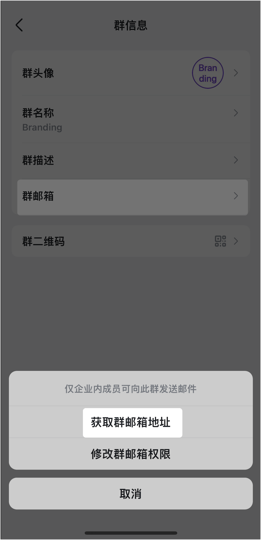 Lark 編輯群組資訊：群名稱、大頭照、群描述與群信箱完整指南 - 補充操作畫面 30