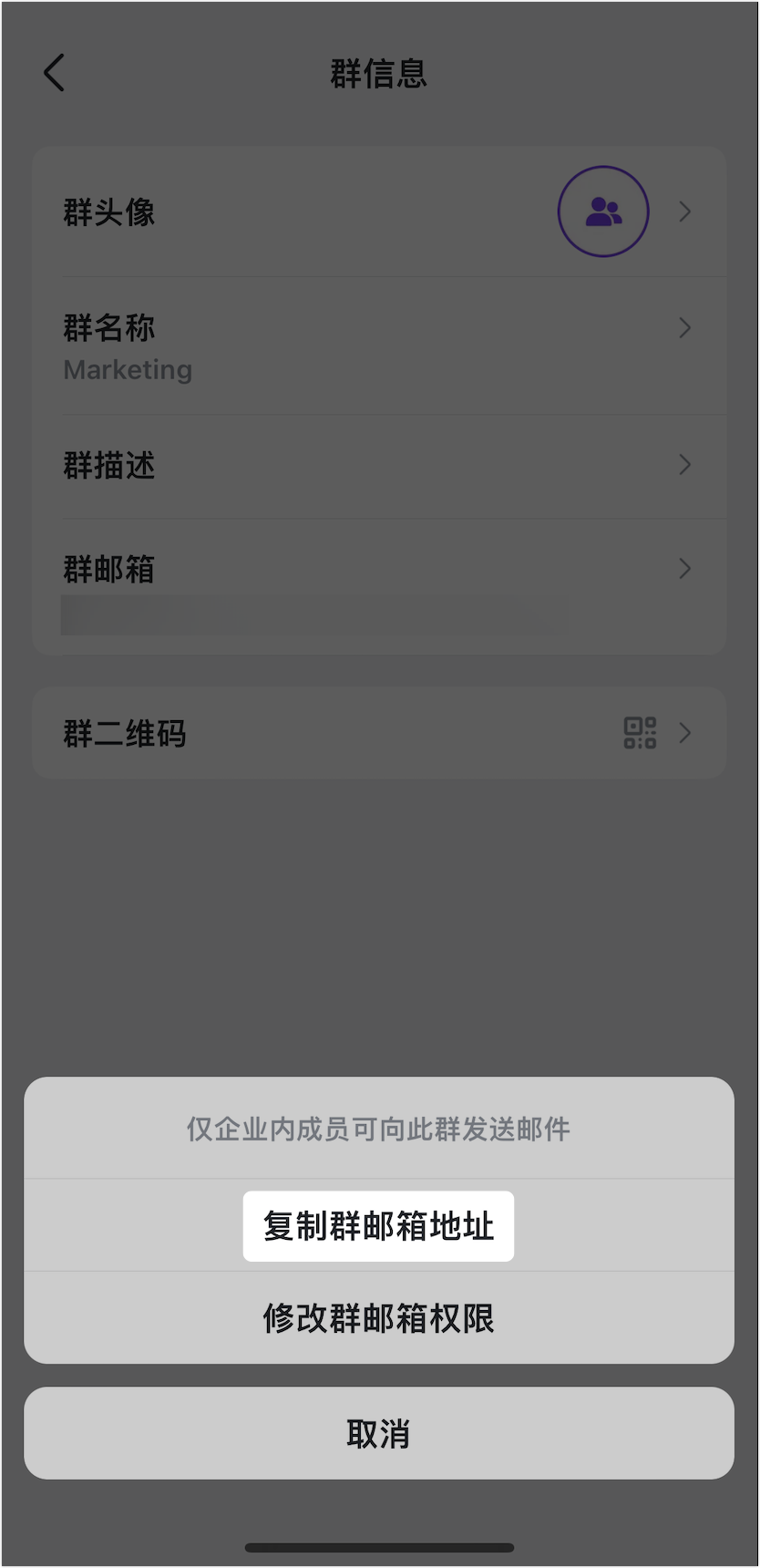 Lark 編輯群組資訊：群名稱、大頭照、群描述與群信箱完整指南 - 補充操作畫面 31