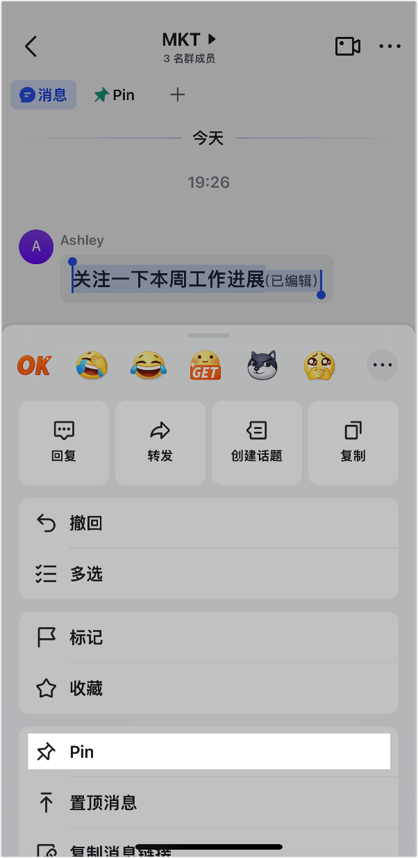 Lark Pin 訊息功能：把關鍵訊息釘在對話最上方，全員一眼看到 - 補充操作畫面 2