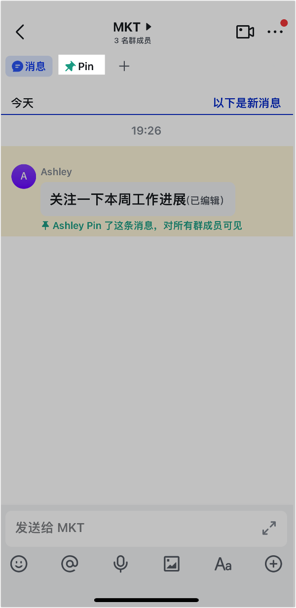 Lark Pin 訊息功能：把關鍵訊息釘在對話最上方，全員一眼看到 - 補充操作畫面 4