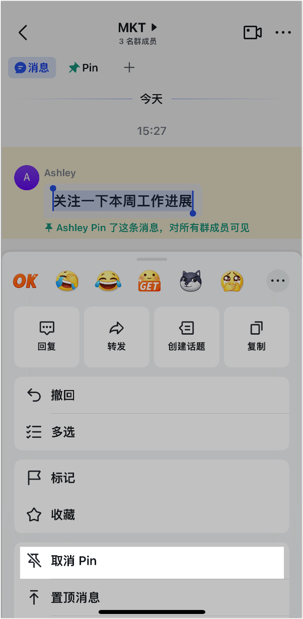 Lark Pin 訊息功能：把關鍵訊息釘在對話最上方，全員一眼看到 - 補充操作畫面 8
