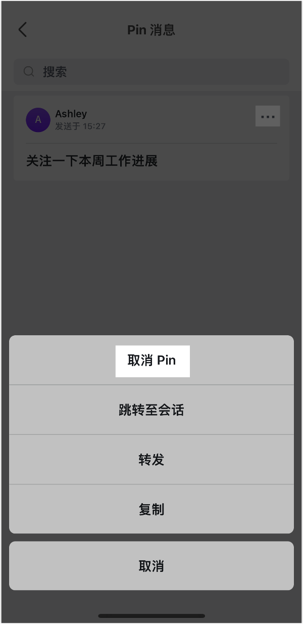 Lark Pin 訊息功能：把關鍵訊息釘在對話最上方，全員一眼看到 - 補充操作畫面 13