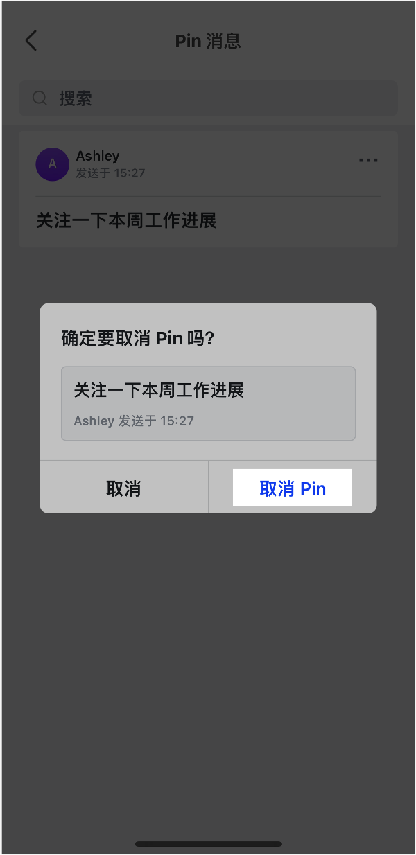 Lark Pin 訊息功能：把關鍵訊息釘在對話最上方，全員一眼看到 - 補充操作畫面 14