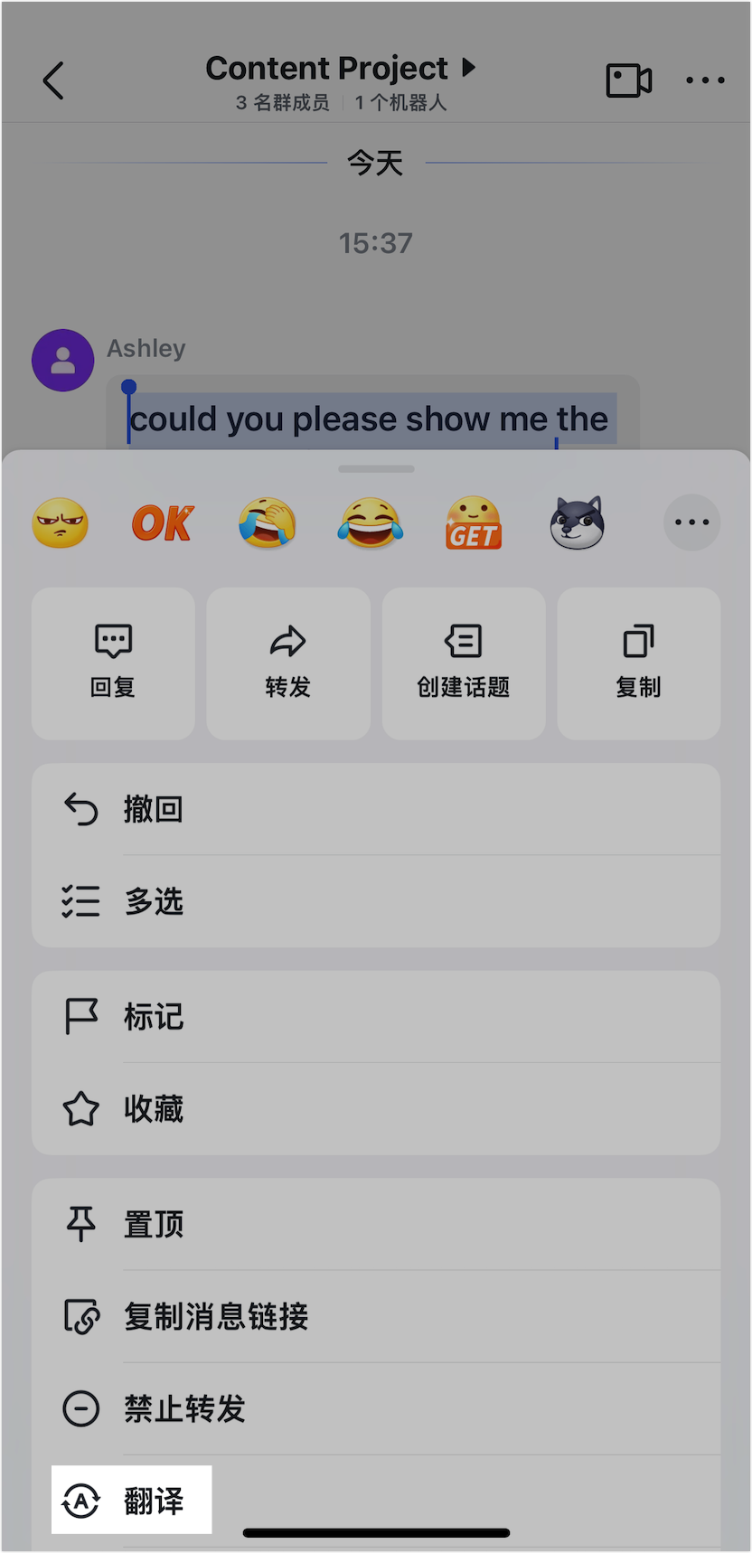 Lark 翻譯會話訊息：跨國溝通零障礙，一鍵翻譯多國語言對話 - 補充操作畫面 6