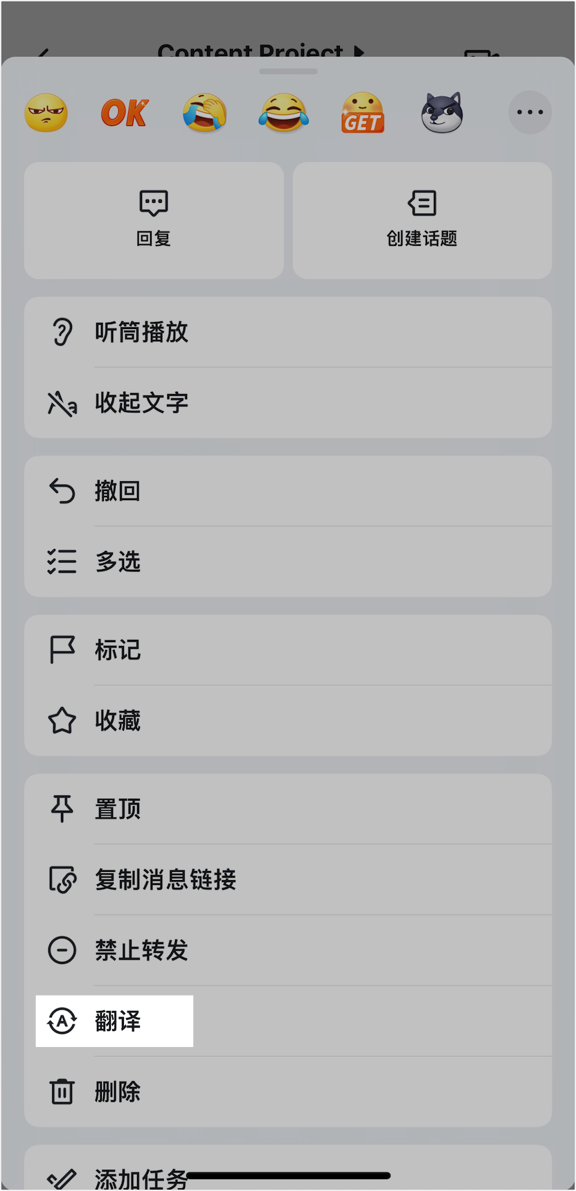 Lark 翻譯會話訊息：跨國溝通零障礙，一鍵翻譯多國語言對話 - 補充操作畫面 16