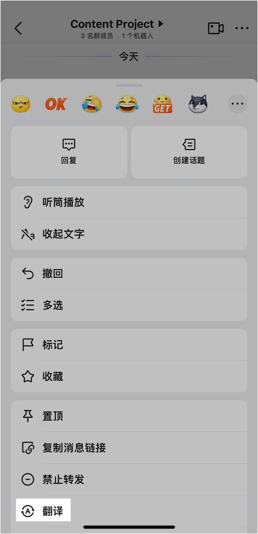 Lark 翻譯會話訊息：跨國溝通零障礙，一鍵翻譯多國語言對話 - 補充操作畫面 19