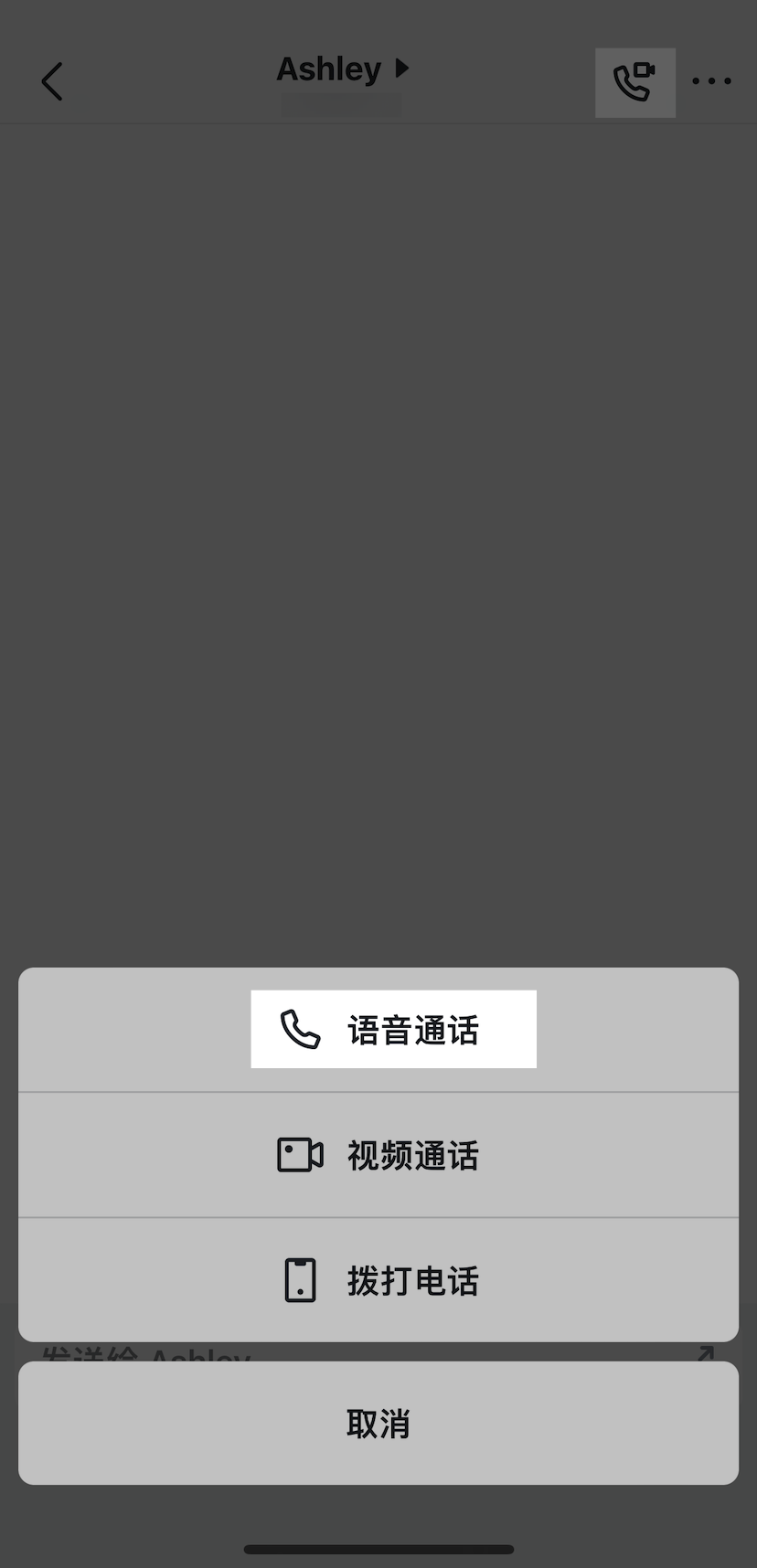 Lark 個人名片中的語音通話按鈕