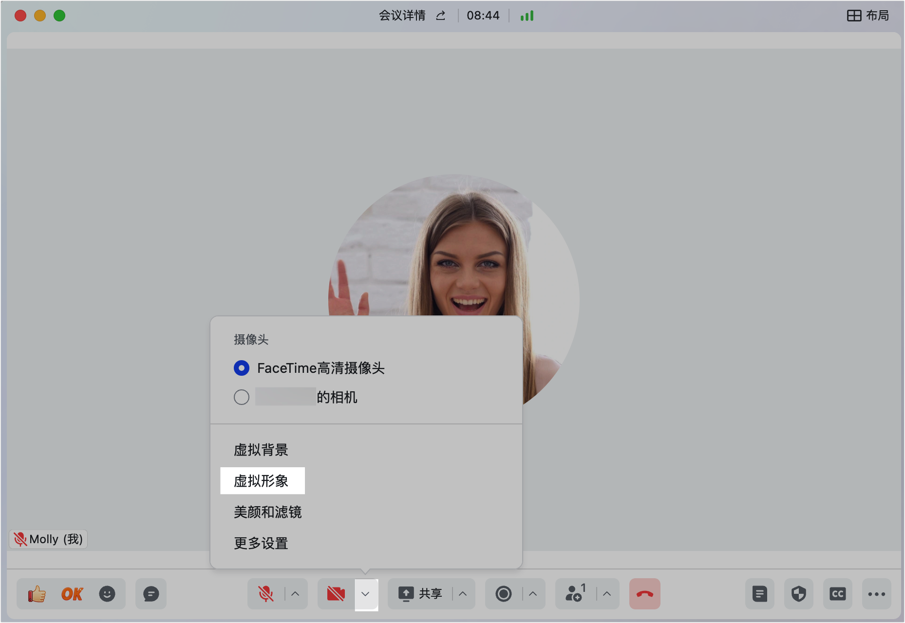 lark-video-meeting-effects - 補充操作畫面